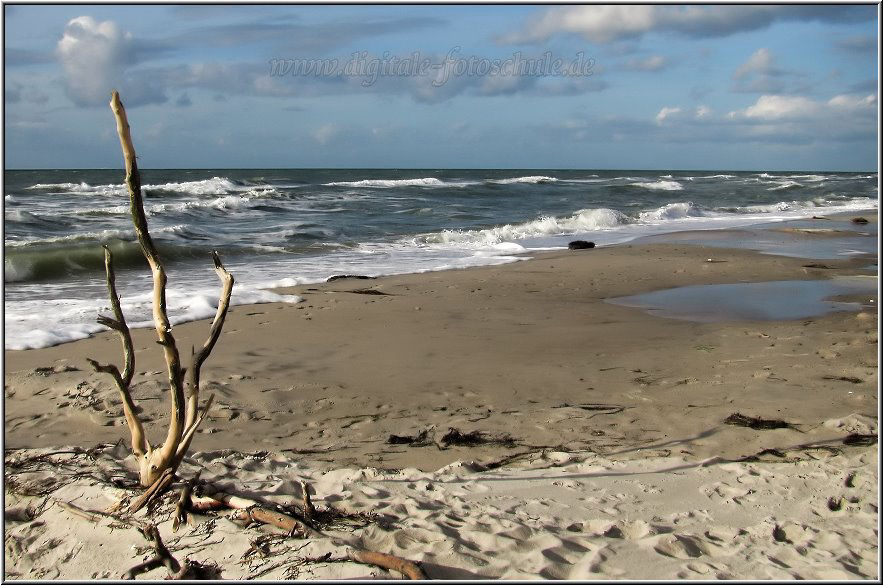 Am Weststrand auf dem Darß