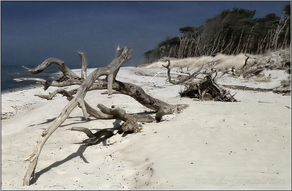 Am Weststrand